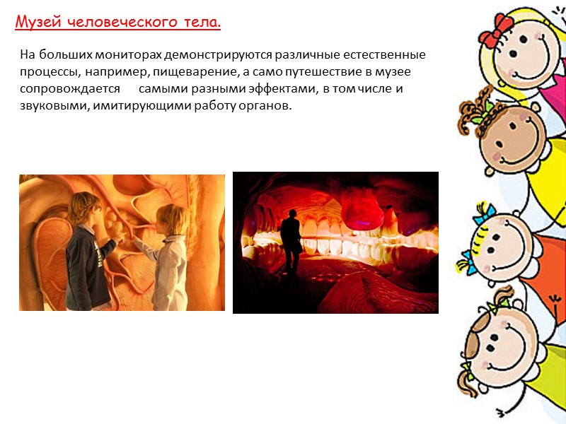 Музей человеческого тела. На больших мониторах демонстрируются различные естественные    процессы, например,